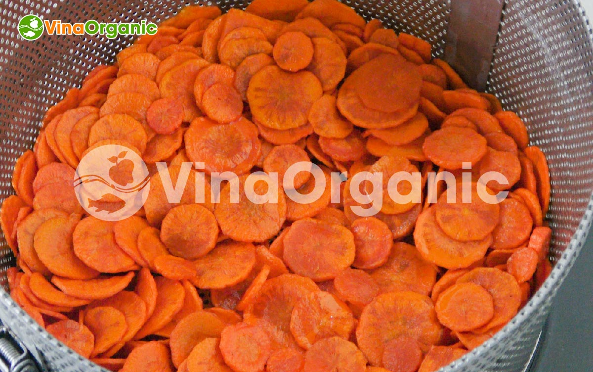 VinaOrganic chuyển giao công nghệ và máy thiết bị chiên chân không, sản xuất cà rốt sấy giòn thơm ngon, hấp dẫn. Liên hệ Hotline 0975299798 - 0938299798.
