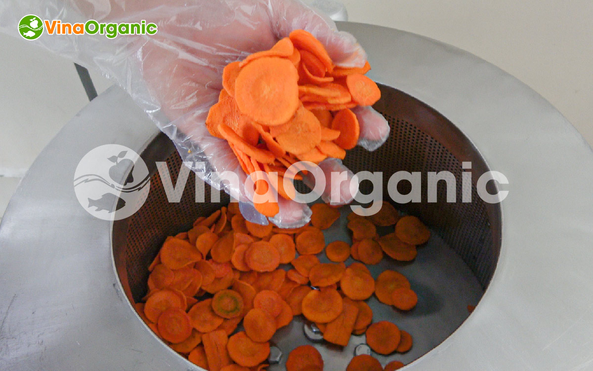 VinaOrganic chuyển giao công nghệ và máy thiết bị chiên chân không, sản xuất cà rốt sấy giòn thơm ngon, hấp dẫn. Liên hệ Hotline 0975299798 - 0938299798.