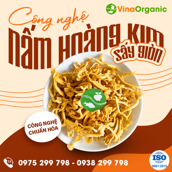 Chuyển giao công nghệ nấm hoàng kim sấy giòn siêu ngon, hấp dẫn