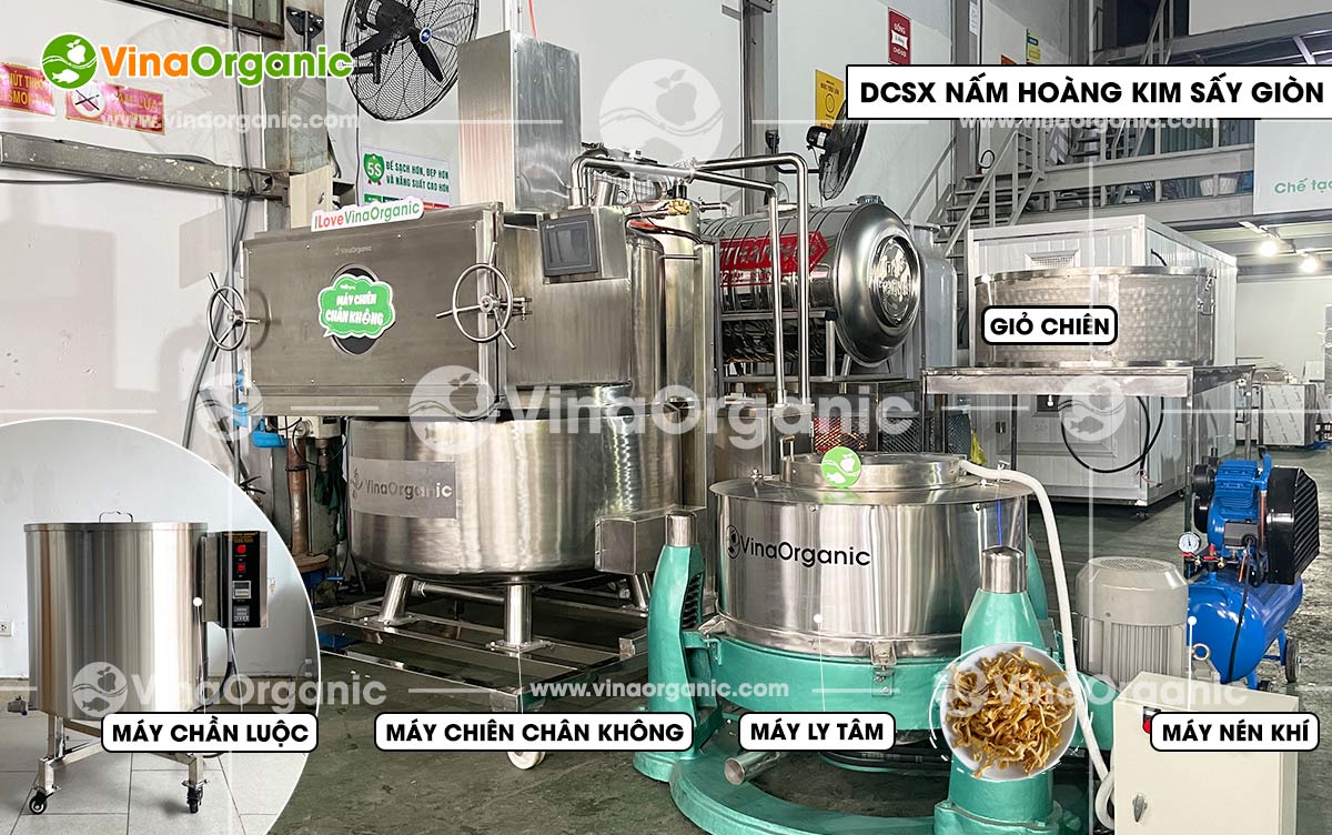 VinaOrganic chuyển giao công nghệ và máy thiết bị chiên chân không, sản xuất nấm hoàng kim sấy giòn siêu ngon. Liên hệ Hotline 0975299798 - 0938299798.