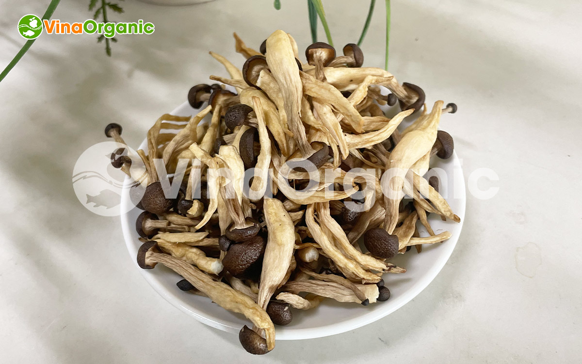 VinaOrganic chuyển giao công nghệ và máy thiết bị chiên chân không, sản xuất nấm linh chi sấy giòn thơm ngon. Liên hệ Hotline 0975299798 - 0938299798.