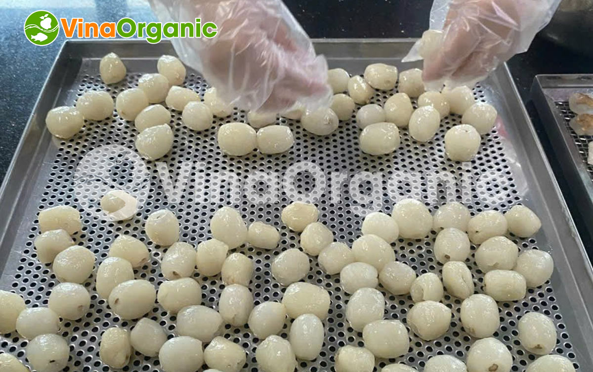 Làm thế nào để có được bí quyết làm chôm chôm sấy dẻo có vị chua thanh, ngọt nhẹ ăn hoài không chán. Liên hệ Hotline: 0975299798 - 0938299798