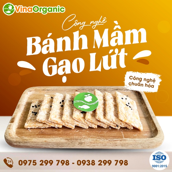 Chuyển giao công nghệ Bánh mầm gạo lứt giòn xốp, giàu dinh dưỡng