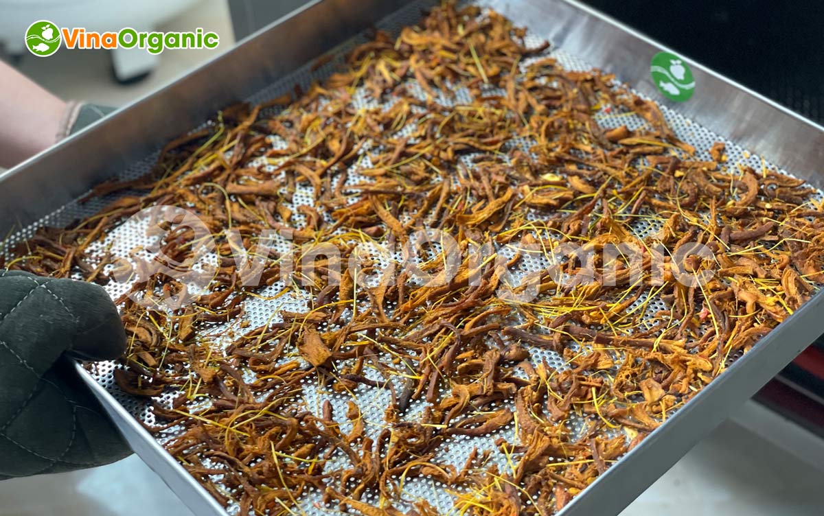VinaOrganic chuyển giao công nghệ khô bò chay dạng sợi từ nấm hương thơm ngon. Liên hệ ngay Hotline/Zalo 0938299798 – 0975299798.