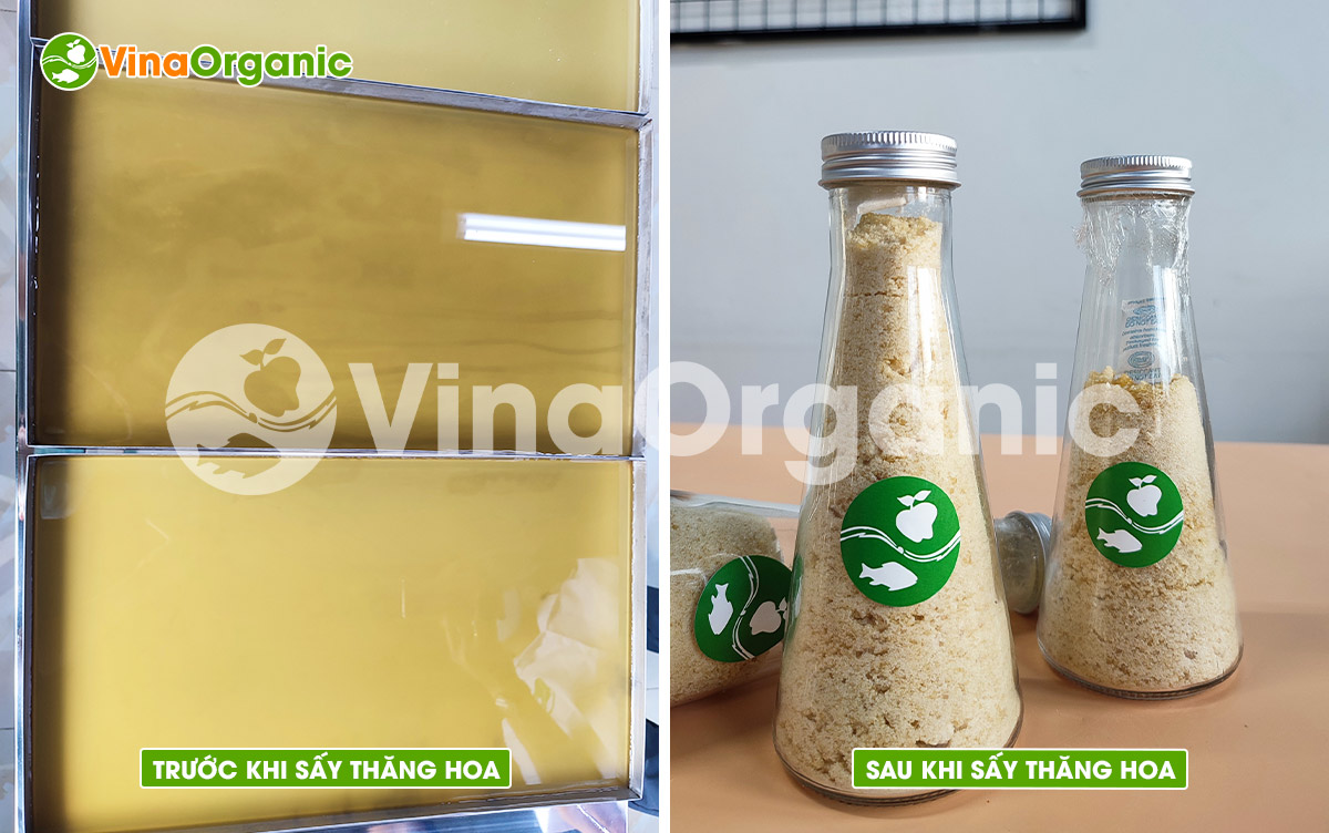 VinaOrganic chuyển giao công nghệ nước mía sấy thăng hoa bổ dưỡng và máy thiết bị sản xuất. Liên hệ ngay Hotline/Zalo 0938299798 – 0975299798.