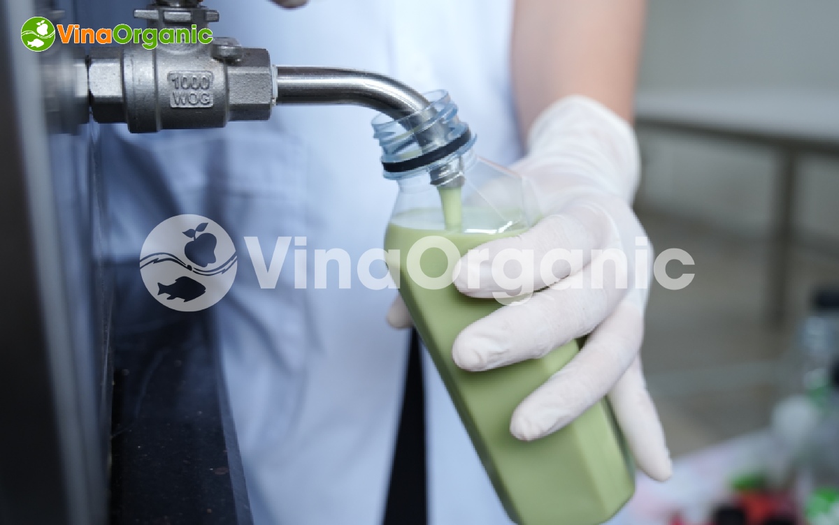 Khóa học Công nghệ sản xuất Sữa hạt tháng 8 vừa qua đã diễn ra tốt đẹp. Hãy cùng VinaOrganic điểm lại những khoảnh khắc đáng nhớ này nhé!