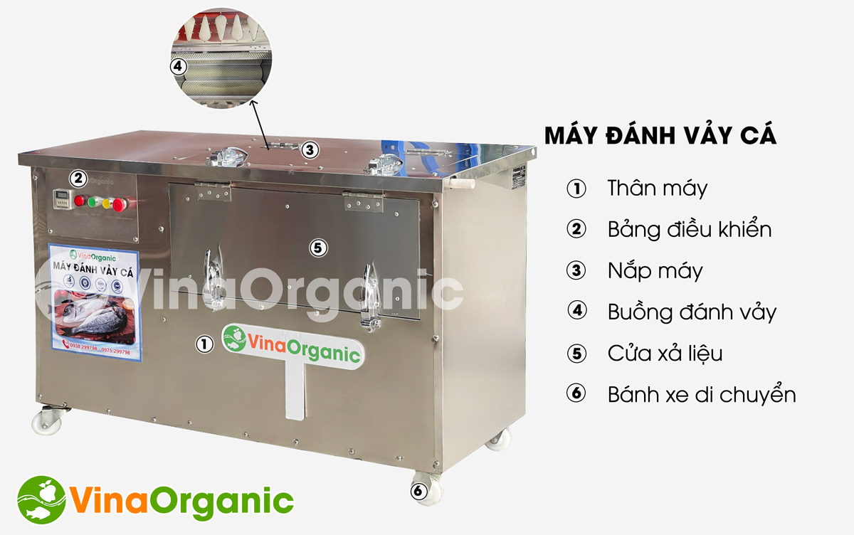 Máy đánh vảy cá VinaOrganic, đánh vảy cá nhanh chóng, chất lượng
