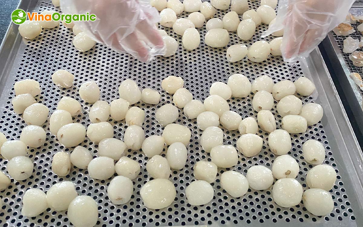 Công nghệ chôm chôm sấy dẻo của VinaOrganic đảm bảo thành phẩm đạt độ dẻo, dai, mùi vị hài hoà. Liên hệ 0975299798 - 0938299798 ngay!