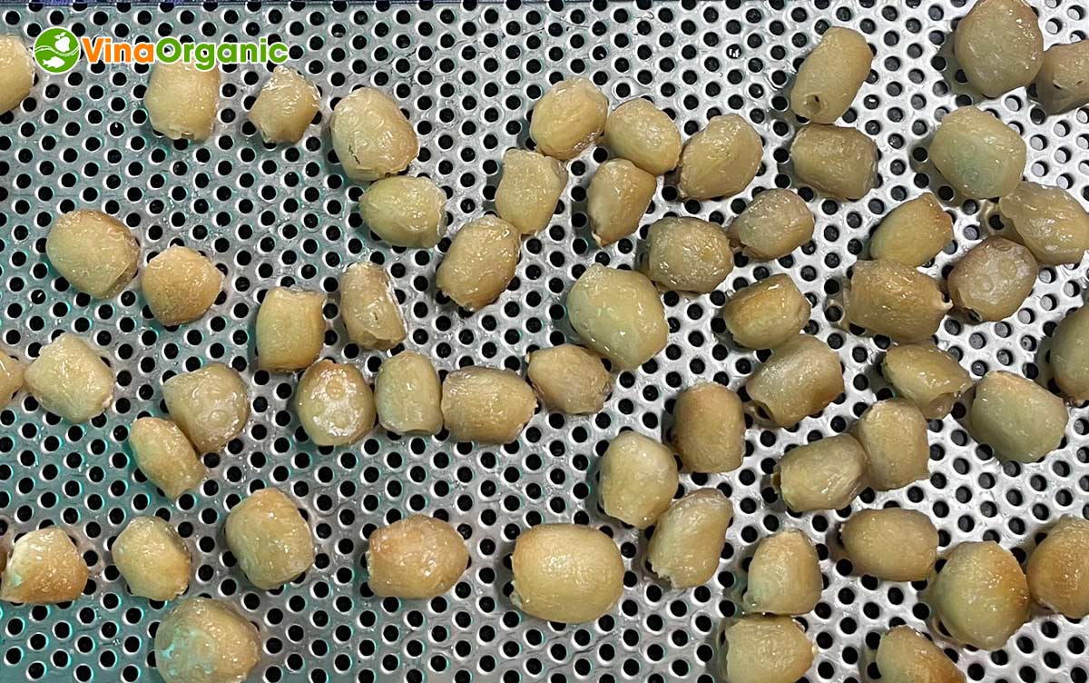 Công nghệ chôm chôm sấy dẻo của VinaOrganic đảm bảo thành phẩm đạt độ dẻo, dai, mùi vị hài hoà. Liên hệ 0975299798 - 0938299798 ngay!