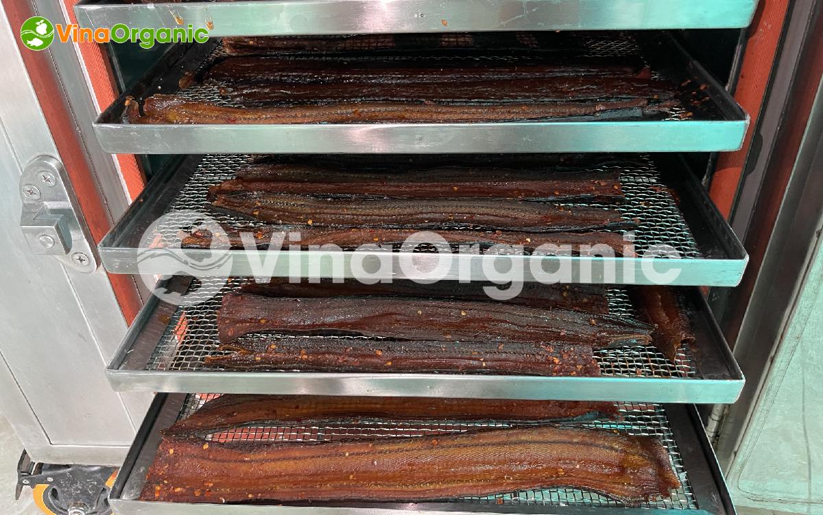Công nghệ sản xuất lươn sấy khô từ VinaOrganic giúp đảm bảo thành phẩm đạt độ dai dẻo, không bị khô cứng. Liên hệ 0975299798 - 0938299798 ngay!