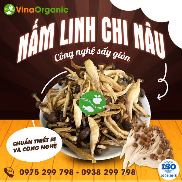 Chuyển giao công nghệ nấm linh chi nâu sấy giòn thơm ngon, giòn rụm
