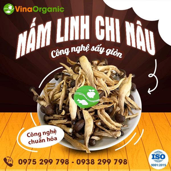 Chuyển giao công nghệ nấm linh chi nâu sấy giòn thơm ngon, giòn rụm