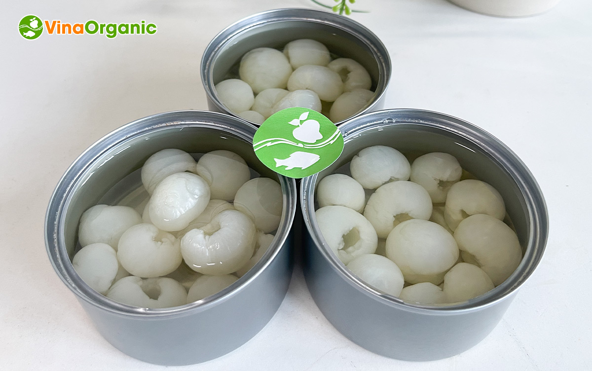 VinaOrganic chuyển giao công nghệ và máy sản xuất Nhãn ngâm đóng hộp thanh trùng giòn dai. Liên hệ ngay. Hotline Zalo 0938299798 – 0975299798.