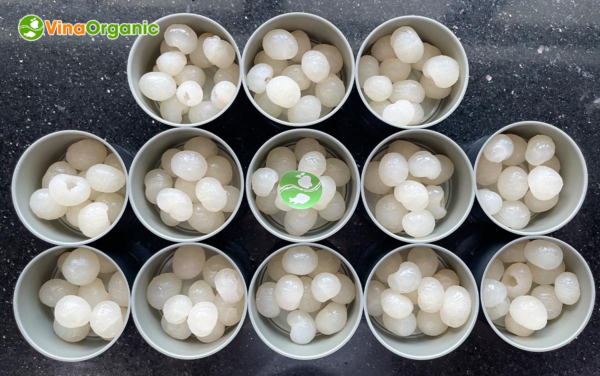 VinaOrganic chuyển giao công nghệ và máy sản xuất Nhãn ngâm đóng hộp thanh trùng giòn dai. Liên hệ ngay. Hotline Zalo 0938299798 – 0975299798.