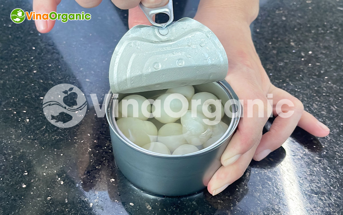 VinaOrganic chuyển giao công nghệ và máy sản xuất Nhãn ngâm đóng hộp thanh trùng giòn dai. Liên hệ ngay. Hotline Zalo 0938299798 – 0975299798.