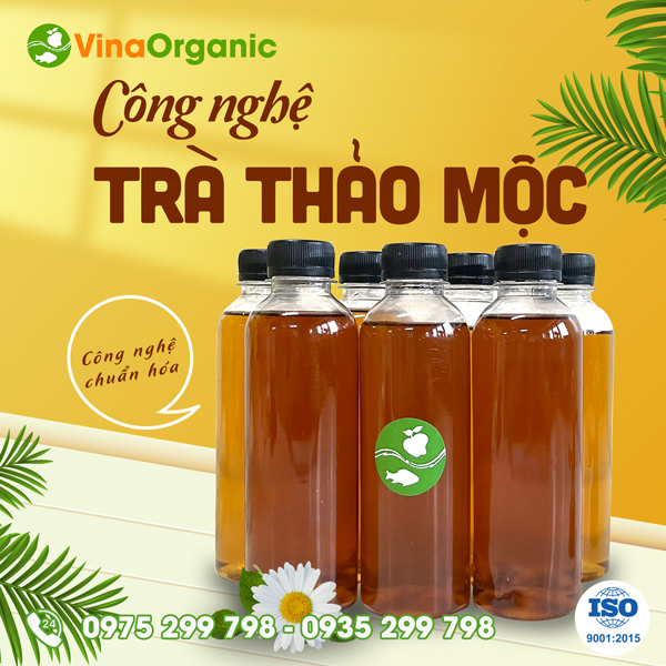 Chuyển giao công nghệ trà thảo mộc hoa cúc thanh nhiệt, giải độc