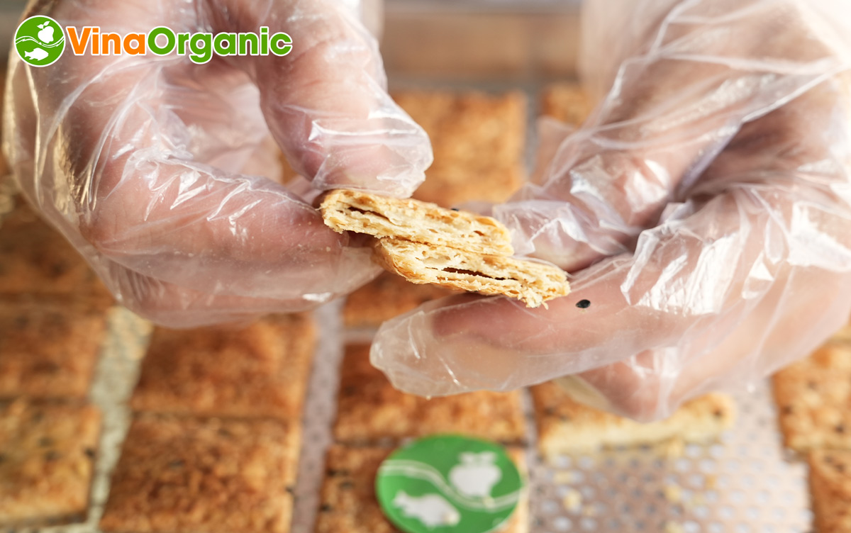 VinaOrganic cung cấp dây chuyền sản xuất bánh mầm gạo lứt giòn rụm, thơm ngon, uy tín chất lượng. Liên hệ Hotline/zalo 0975299798 - 0938299798.