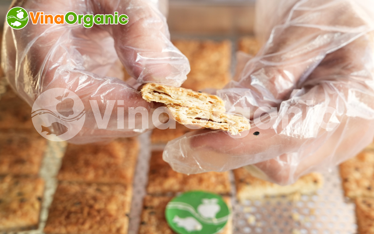 VinaOrganic chuyển giao công nghệ và máy thiết bị sản xuất bánh mầm gạo lứt dinh dưỡng, thơm ngon. Liên hệ Hotline 0975299798 - 0938299798.