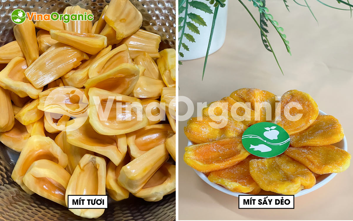 VinaOrganic cung cấp máy thiết bị và chuyển giao công nghệ mít sấy dẻo thơm ngon. Liên hệ Hotline/Zalo 0938299798 - 0975299798.
