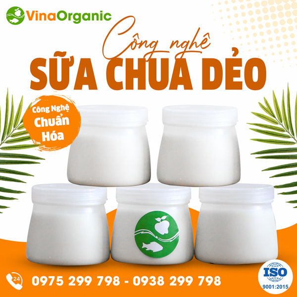 Chuyển giao công nghệ Sữa chua hũ dẻo truyền thống mềm mịn, béo ngậy