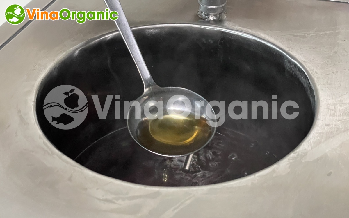 VinaOrganic chuyển giao công nghệ và máy sản xuất trà thảo mộc hoa cúc thanh nhiệt, giải độc. Liên hệ ngay Hotline/Zalo 0938299798 – 0975299798.