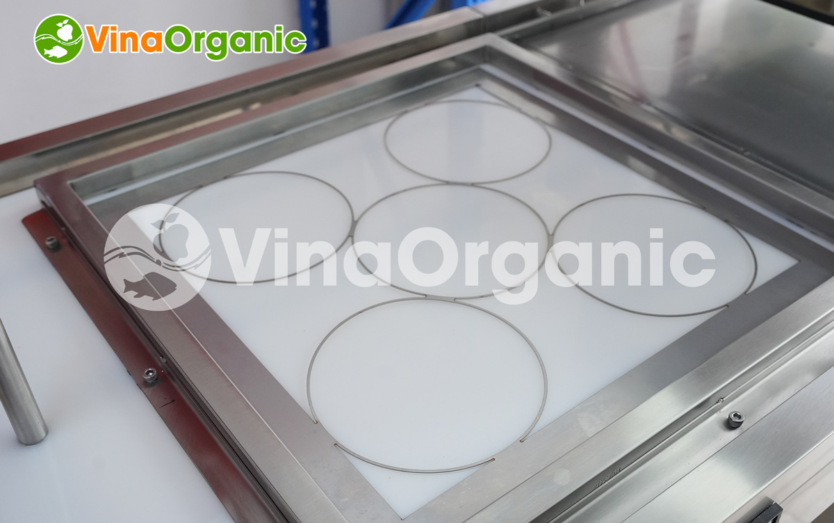 EC040 - Máy ép cơm (mâm 40x40cm), ép cơm cháy, ép bánh tacos. Liên hệ ngay Hotline/Zalo: 0975.299798 – 0938.299798 để được tư vấn chi tiết!