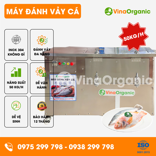 V50 - Máy đánh vảy cá công nghiệp 50kg/h, đánh vảy cá chép, cá diêu hồng