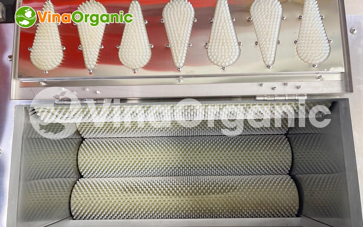V50 - Máy đánh vảy cá công nghiệp, đánh sạch vảy cá nhanh chóng, chất lượng. Liên hệ Hotline/Zalo 0975299798 – 0938299798.