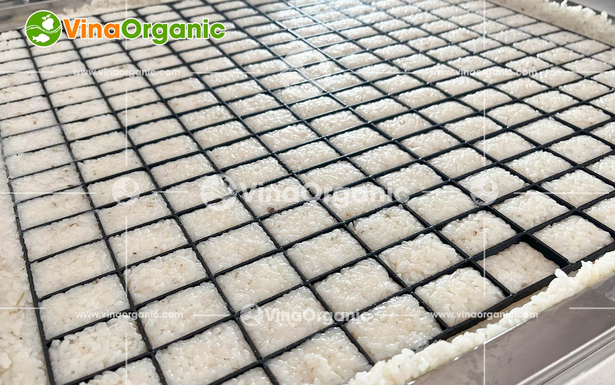 VinaOrganic cung cấp dây chuyền sản xuất cơm cháy chà bông mini, snack cơm cháy thơm ngon, giòn rụm. Hotline 0938299798 - 0975299798