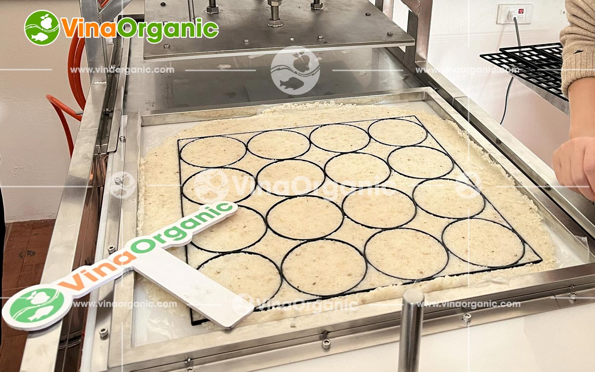 Định hình sản phẩm hoàn hảo với máy ép tạo hình của VinaOrganic. Tối ưu chi phí, nâng cao năng suất. Liên hệ tư vấn miễn phí!