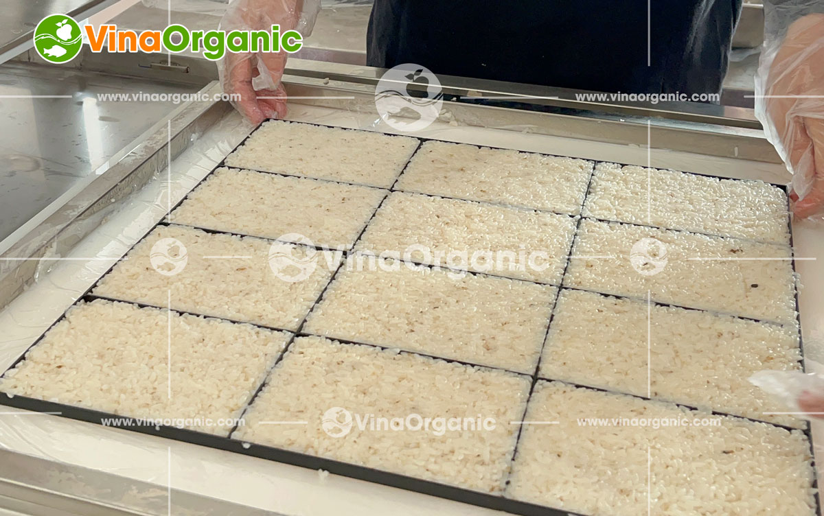 Định hình sản phẩm hoàn hảo với máy ép tạo hình của VinaOrganic. Tối ưu chi phí, nâng cao năng suất. Liên hệ tư vấn miễn phí!