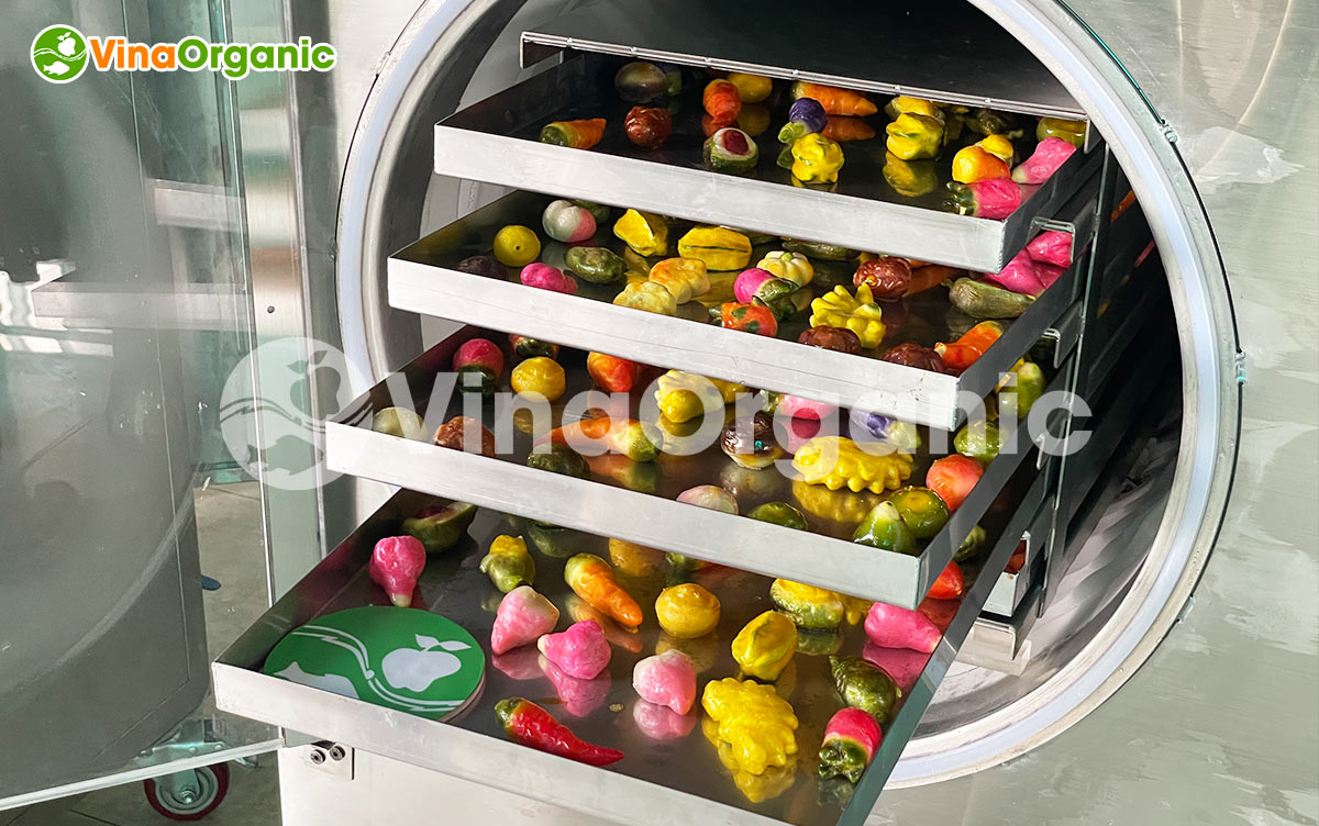 VinaOrganic chuyển giao công nghệ bánh đậu xanh sấy thăng hoa giòn xốp, không bị vỡ vụn. Liên hệ ngay Hotline/zalo 0975299798 - 0938299798.