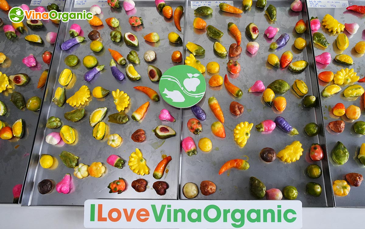 VinaOrganic chuyển giao công nghệ bánh đậu xanh sấy thăng hoa giòn xốp, không bị vỡ vụn. Liên hệ ngay Hotline/zalo 0975299798 - 0938299798.