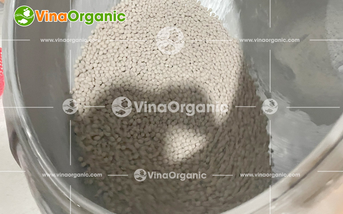 Công nghệ đậu phộng da cá cốt dừa độc quyền từ VinaOrganic đã có mặt tại Hà Nội. Sự kết hợp độc đáo giữa truyền thống và hiện đại