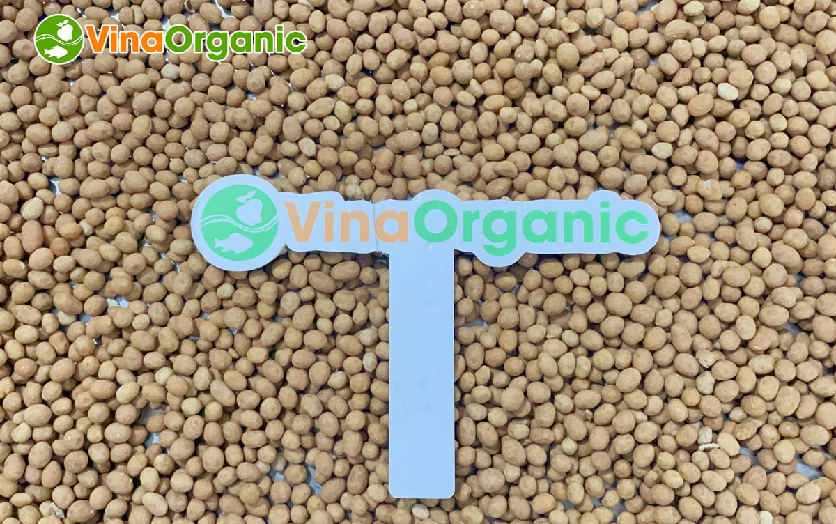 Công nghệ đậu phộng da cá cốt dừa độc quyền từ VinaOrganic đã có mặt tại Hà Nội. Sự kết hợp độc đáo giữa truyền thống và hiện đại