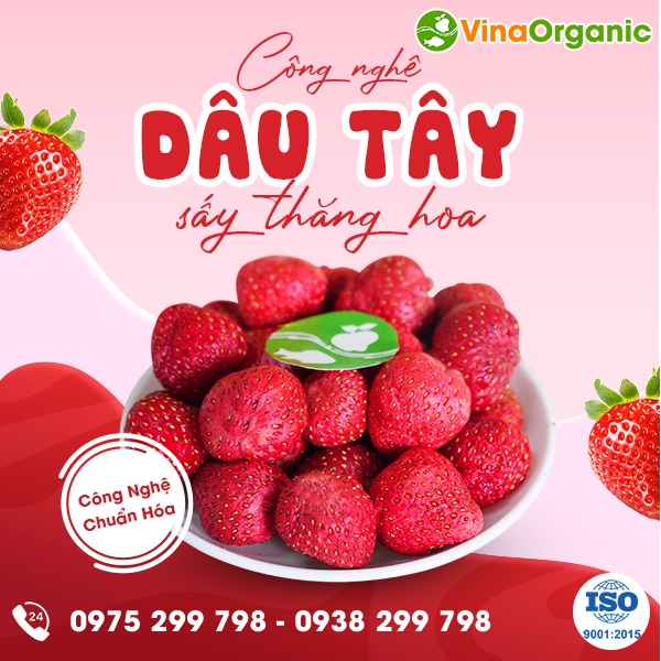 Chuyển giao công nghệ dâu tây sấy thăng hoa giữ nguyên màu sắc, dinh dưỡng