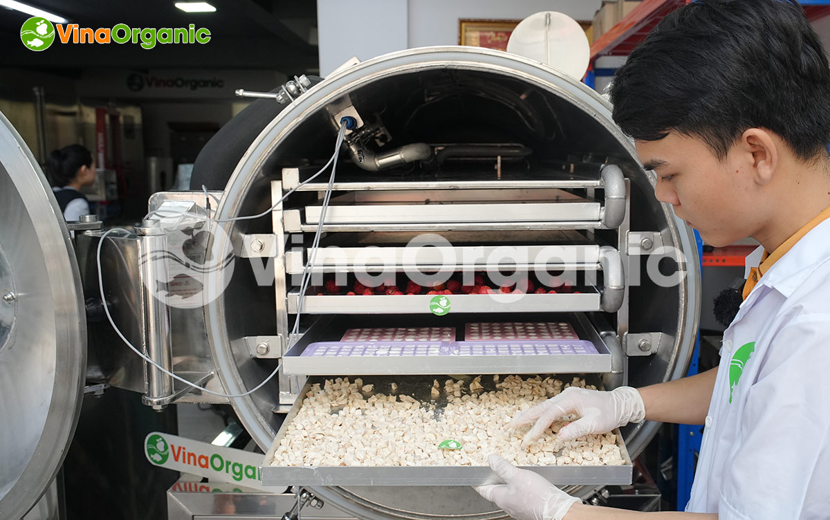 VinaOrganic chuyển giao công nghệ Gà viên sấy thăng hoa khô xốp gòn, giữ nguyên dinh dưỡng. Liên hệ ngay Hotline/Zalo 0938299798 – 0975299798.