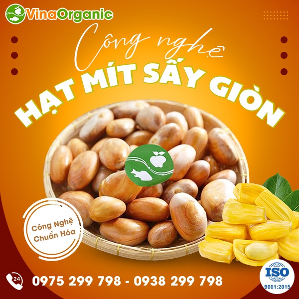 Chuyển giao công nghệ hạt mít chiên chân không mới lạ, thơm ngon