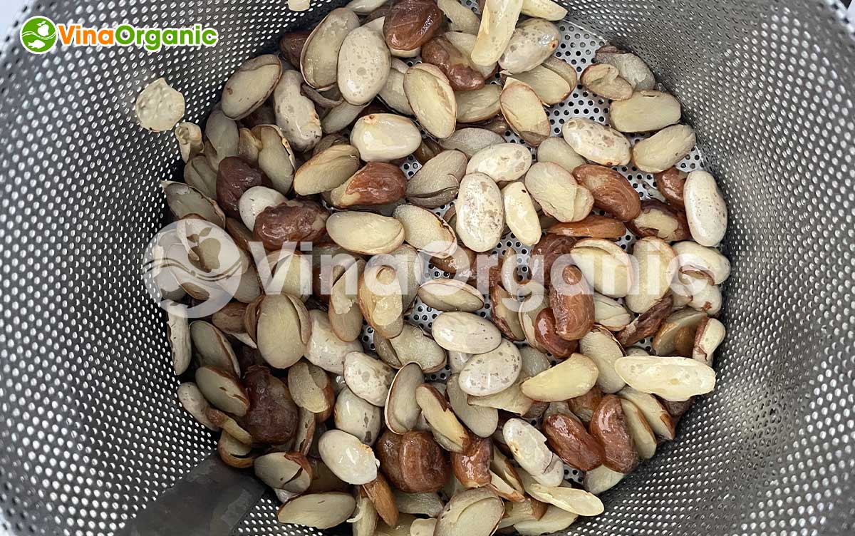 VinaOrganic chuyển giao công nghệ Hạt mít chiên chân không mới lạ, thơm ngon, bảo quản tới 9 tháng. Liên hệ ngay Hotline Zalo 0938299798 – 0975299798.