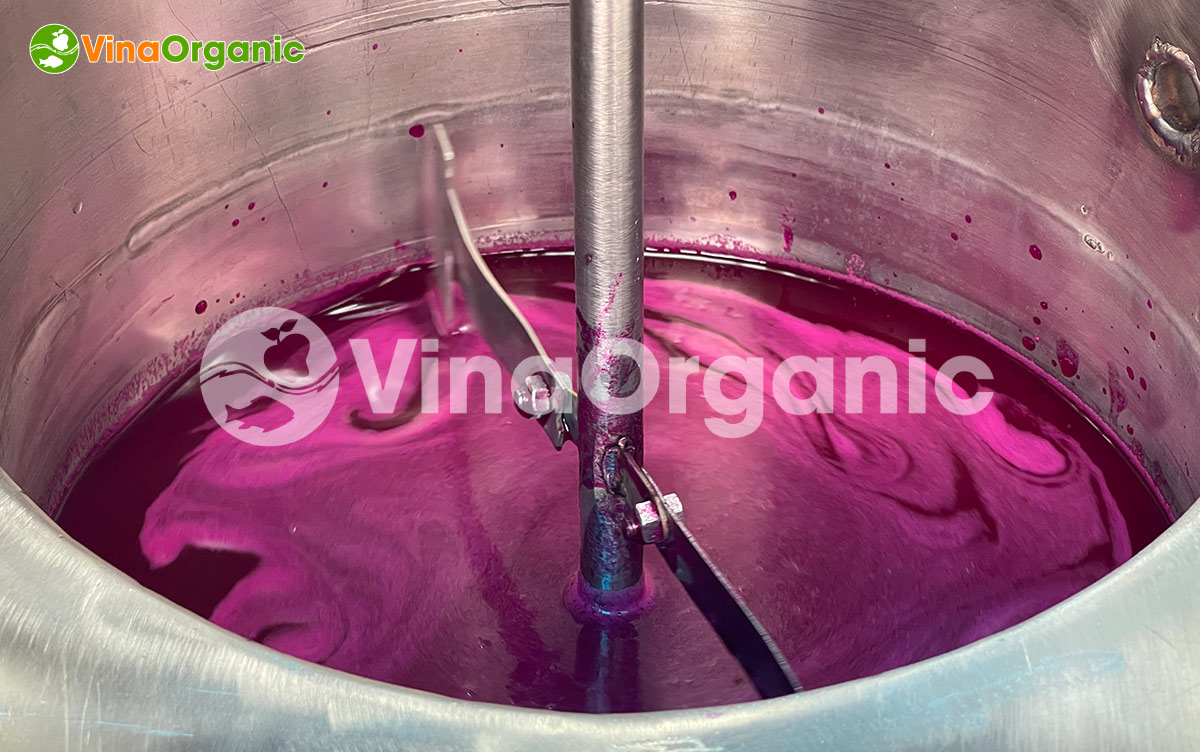 VinaOrganic chuyển giao công nghệ nước ép thanh long cô đặc chân không bảo toàn giá trị dinh dưỡng. Liên hệ ngay Hotline Zalo 0938299798 – 0975299798.