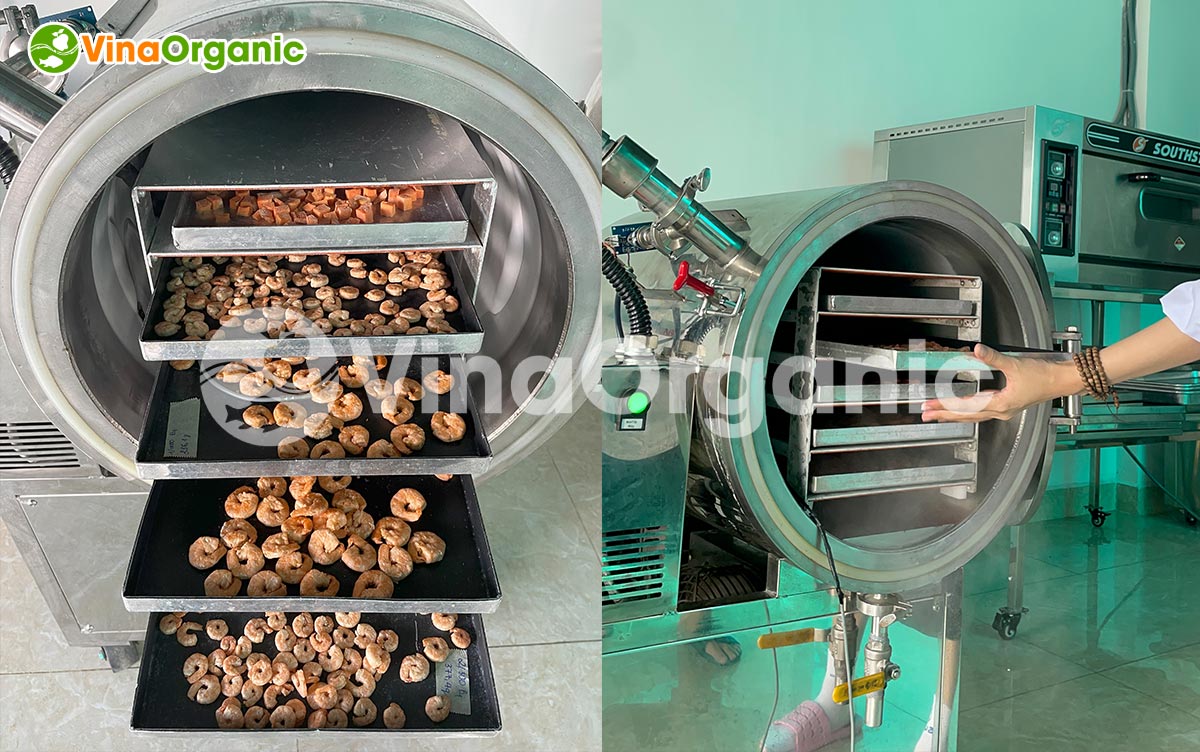 VinaOrganic chuyển giao công nghệ tôm sấy thăng hoa giữ nguyên màu sắc, giá trị dinh dưỡng. Liên hệ ngay Hotline/zalo 0975299798 - 0938299798.