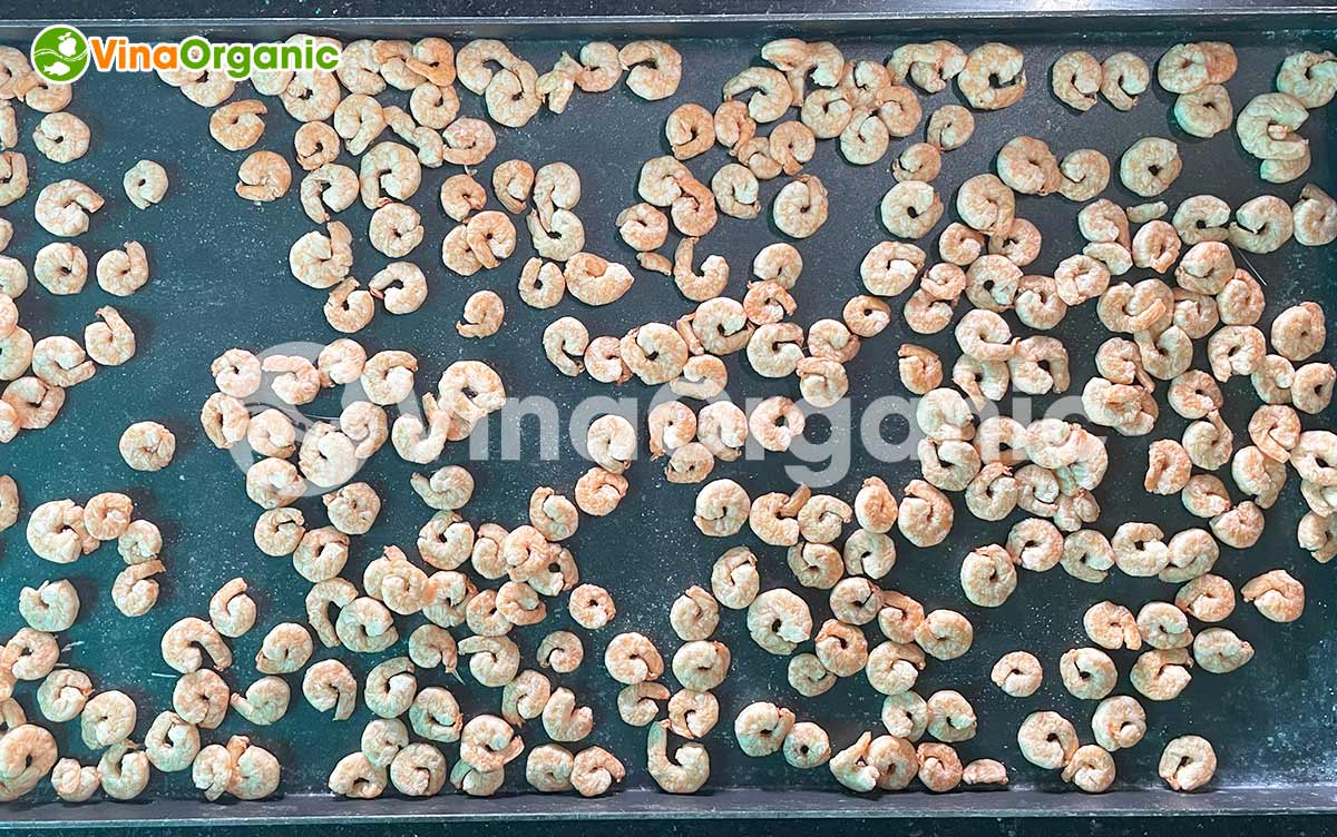 VinaOrganic chuyển giao công nghệ tôm sấy thăng hoa giữ nguyên màu sắc, giá trị dinh dưỡng. Liên hệ ngay Hotline/zalo 0975299798 - 0938299798.