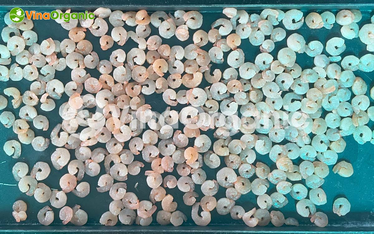 VinaOrganic chuyển giao công nghệ tôm sấy thăng hoa giữ nguyên màu sắc, giá trị dinh dưỡng. Liên hệ ngay Hotline/zalo 0975299798 - 0938299798.