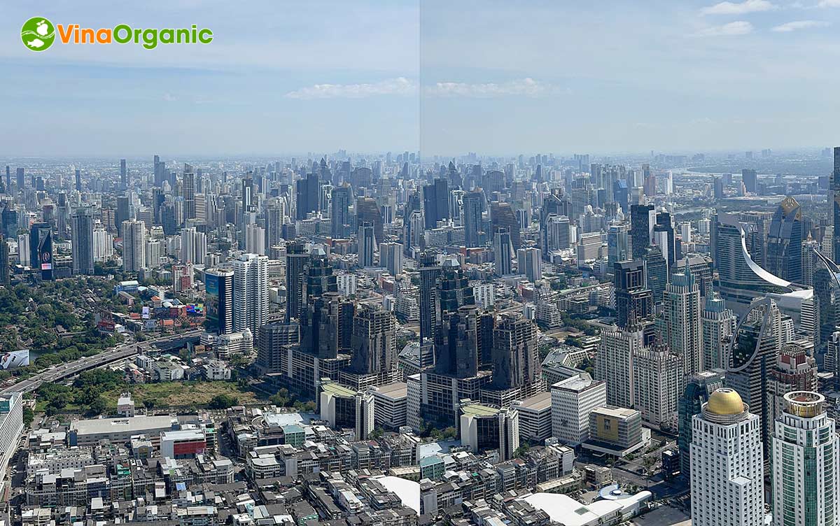 Nhằm tri ân những nỗ lực và cống hiến xuất sắc của các CBNV trong năm 2024, VinaOrganic đã tổ chức chuyến du lịch tưởng thưởng Thái Lan.