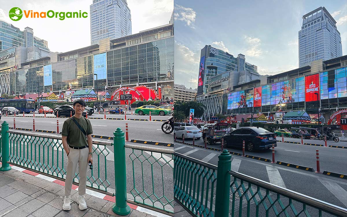 Nhằm tri ân những nỗ lực và cống hiến xuất sắc của các CBNV trong năm 2024, VinaOrganic đã tổ chức chuyến du lịch tưởng thưởng Thái Lan.