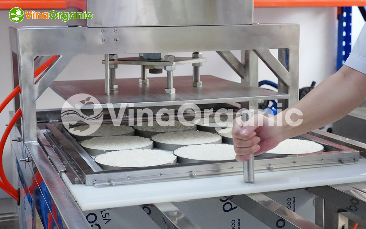 Định hình sản phẩm hoàn hảo với máy ép tạo hình của VinaOrganic. Tối ưu chi phí, nâng cao năng suất. Liên hệ tư vấn miễn phí!