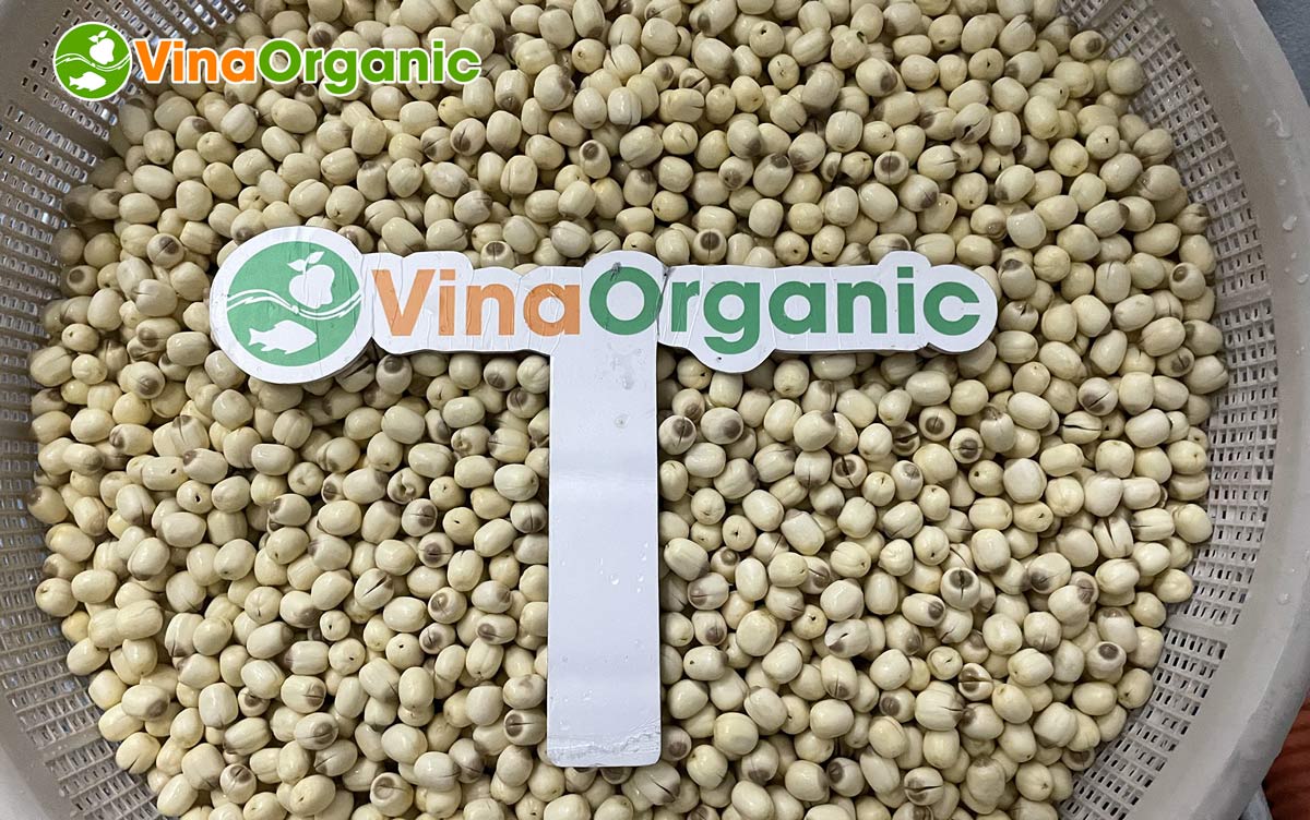 Hoàn tất bàn giao dây chuyền chiên chân không 30kg và 50kg, sẵn sàng sản xuất các sản phẩm sấy giòn tại Hưng Yên. Liên hệ Hotline: 0975299798