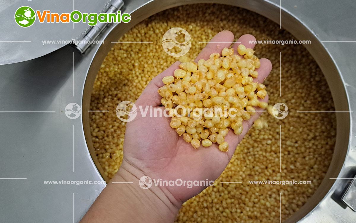 Hoàn tất bàn giao dây chuyền chiên chân không 30kg và 50kg, sẵn sàng sản xuất các sản phẩm sấy giòn tại Hưng Yên. Liên hệ Hotline: 0975299798
