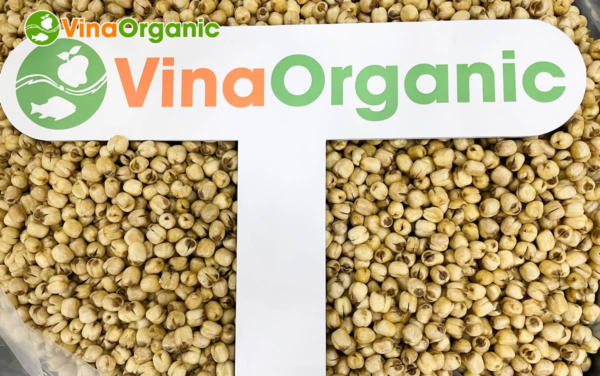 Hoàn tất bàn giao dây chuyền chiên chân không 30kg và 50kg, sẵn sàng sản xuất các sản phẩm sấy giòn tại Hưng Yên. Liên hệ Hotline: 0975299798