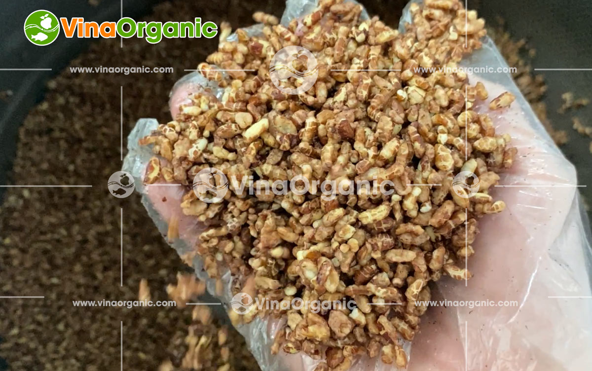 VinaOrganic đã bàn giao dây chuyền máy thiết bị và chuyển giao công nghệ làm thanh cốm gạo lứt chất luợng cao đến khách hàng tại Hà Nội....